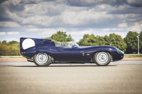 013_D-TYPE_CONTINUATION_Longnose.jpg
