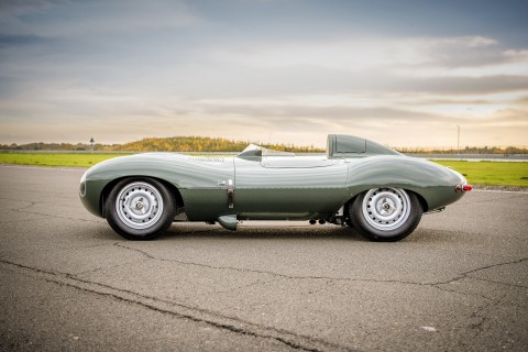 012_D-TYPE_CONTINUATION_Shortnose.jpg