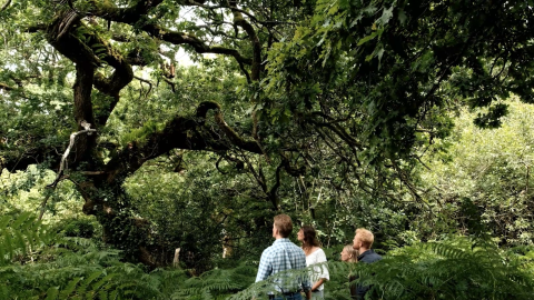 012_DEFENDER_AWARDS_UK